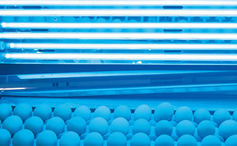 UV Industry of the Month: Egg Disinfection